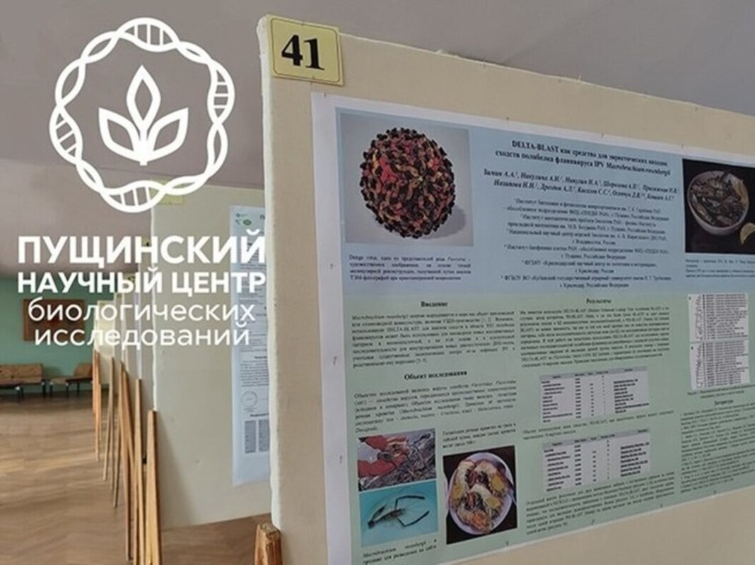 XII Всероссийская Пущинская конференция «Биохимия, физиология и биосферная роль микроорганизмов»