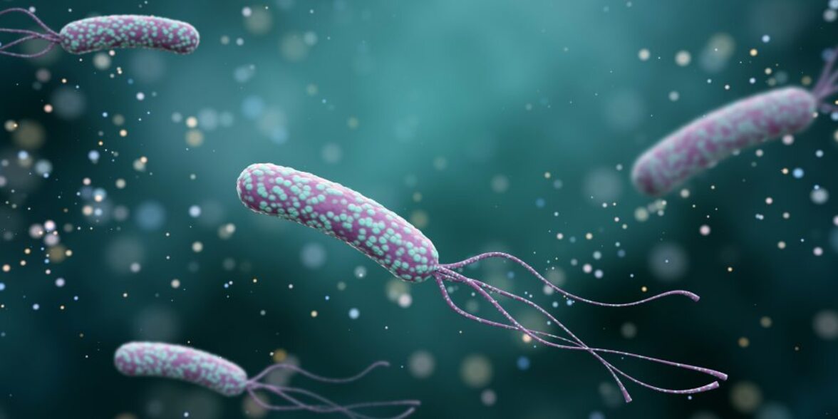 Микробиота желудка вторгается в lamina propria при Helicobacter pylori-ассоциированном карциногенезе желудка