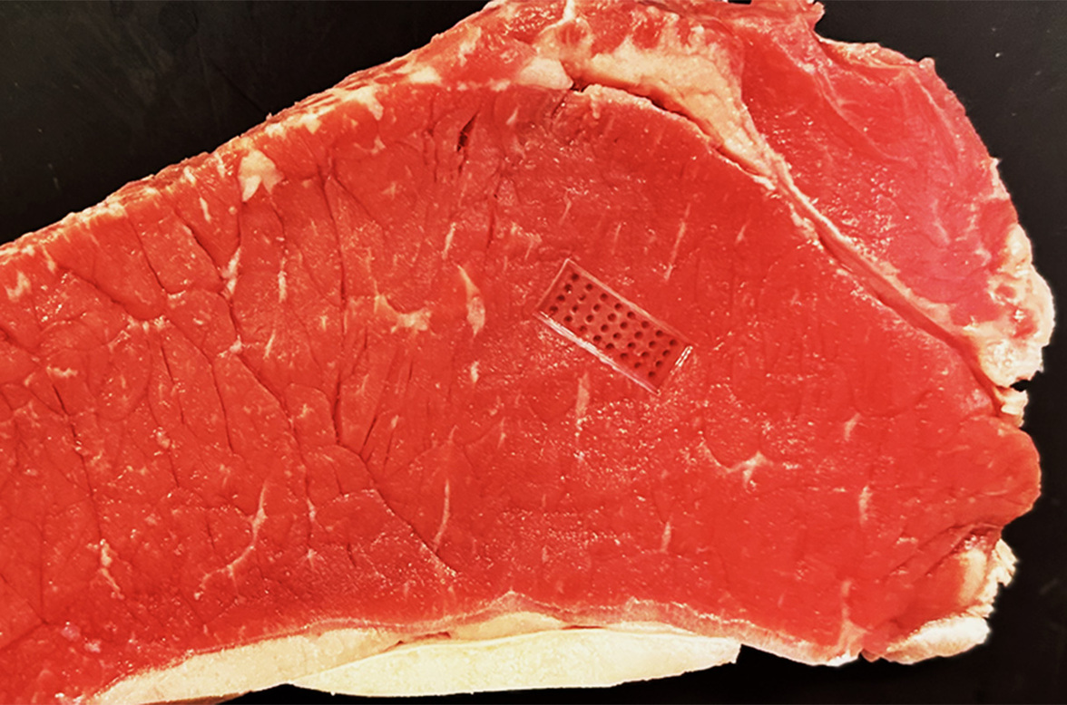 Чтобы предотвратить пищевое отравление, крошечные иглы могут ввести в пищу вирусы, уничтожающие бактерии