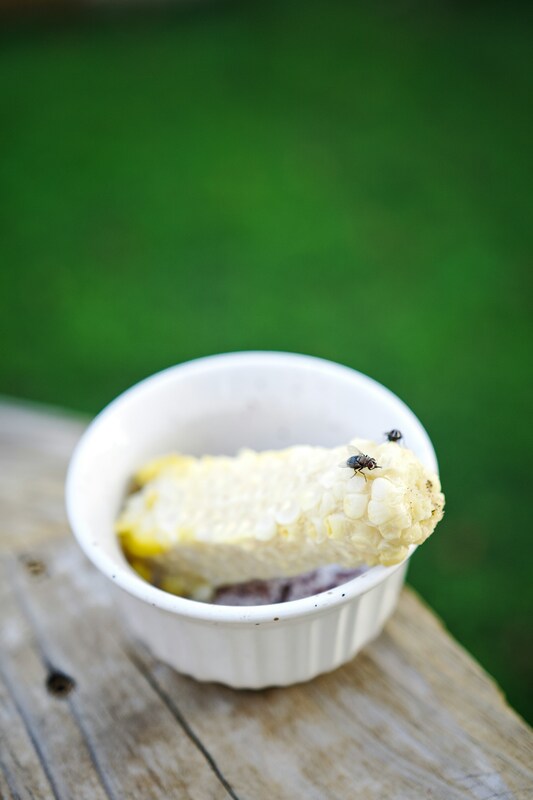 Что происходит, когда муха садится на еду?