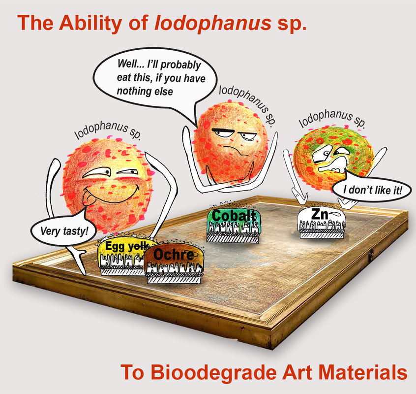 На новгородской иконе XVI века обнаружен необычный грибок, разрушающий произведение искусства