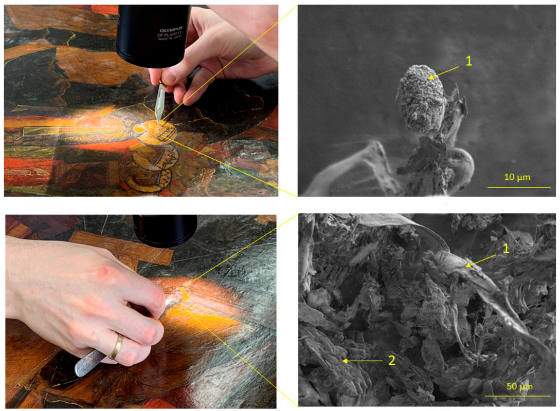 Для иконы XVI века из Государственной Третьяковской галереи определили риски биопоражения