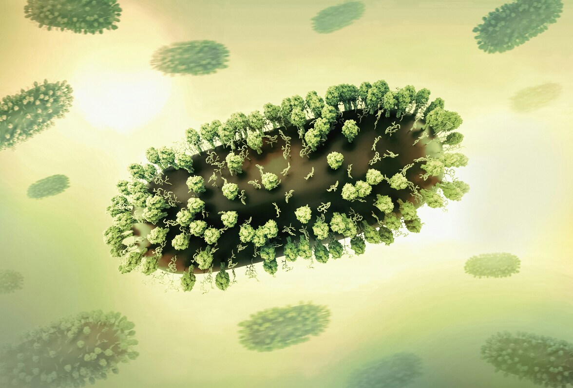 Инфекция РСВ и аллергия у матери повышают риск развития астмы у детей