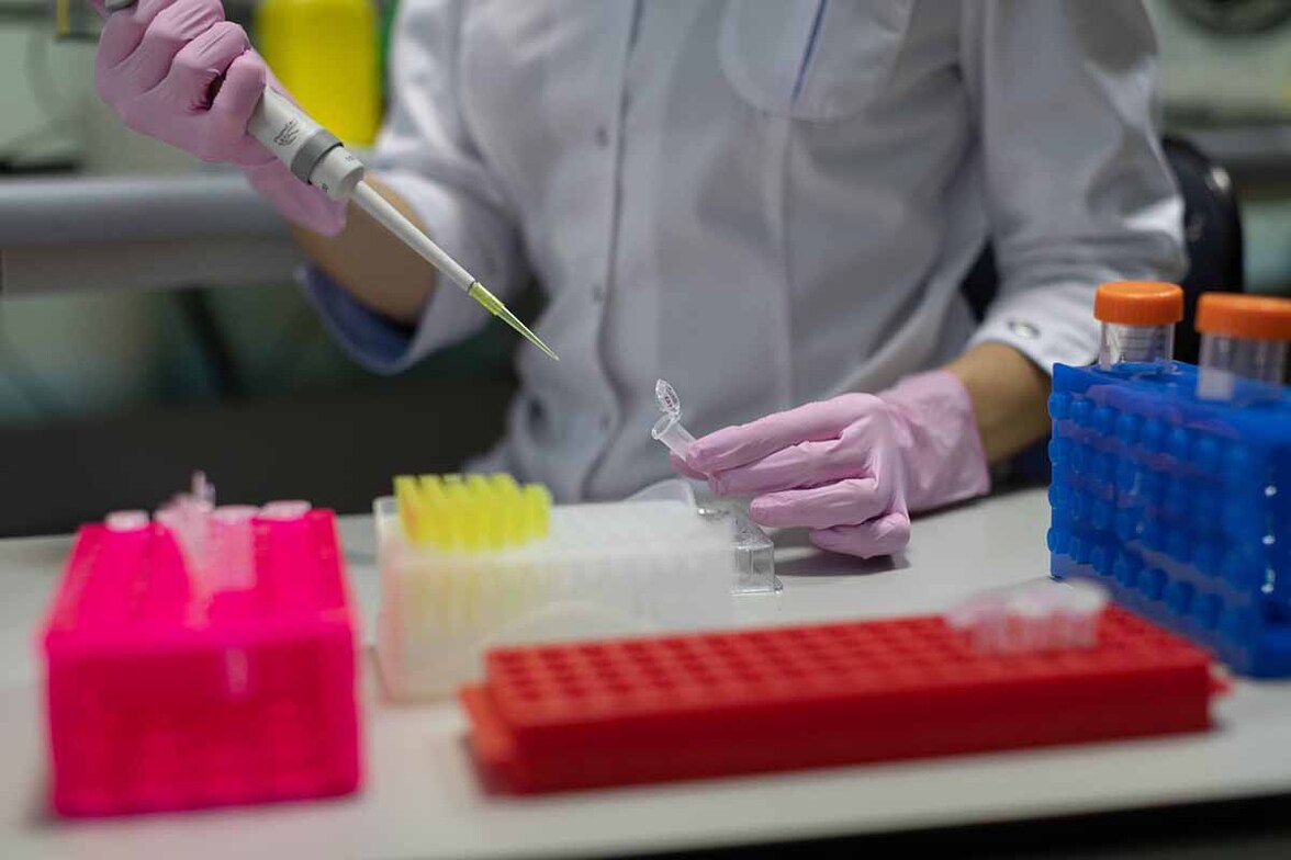 Лекарство от аритмии помогло изучить перспективный для биотехнологий штамм дрожжей