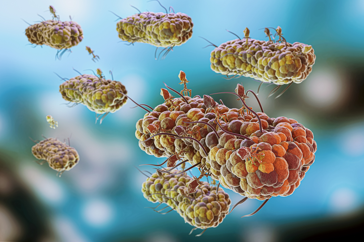 Фаги используют микроРНК для захвата бактериальных клеток и ускорения репликации