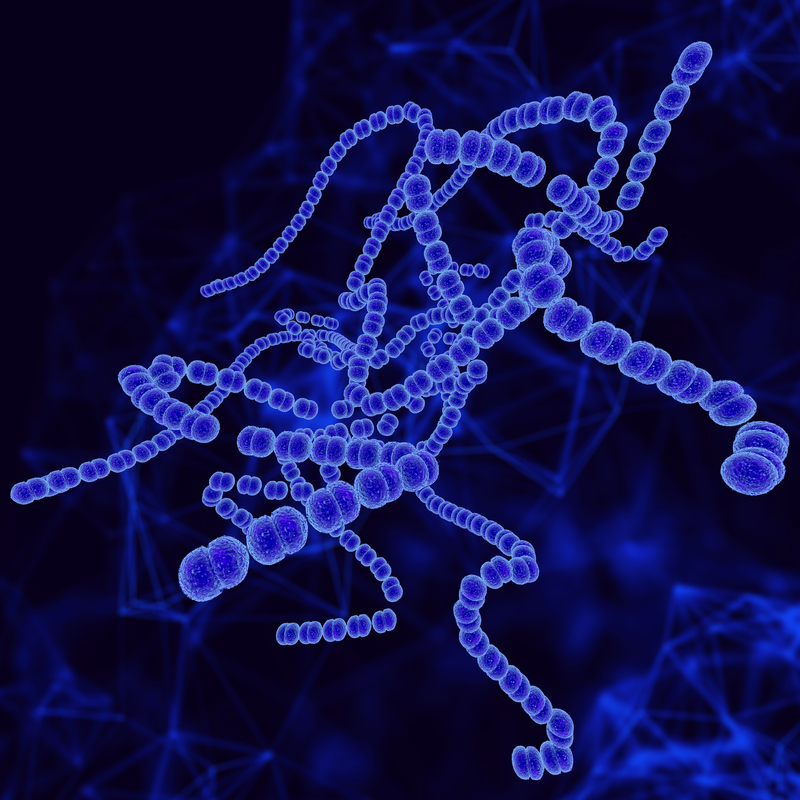 Продукты метаболизма Streptococcus anginosus способствуют прогрессированию рака желудка
