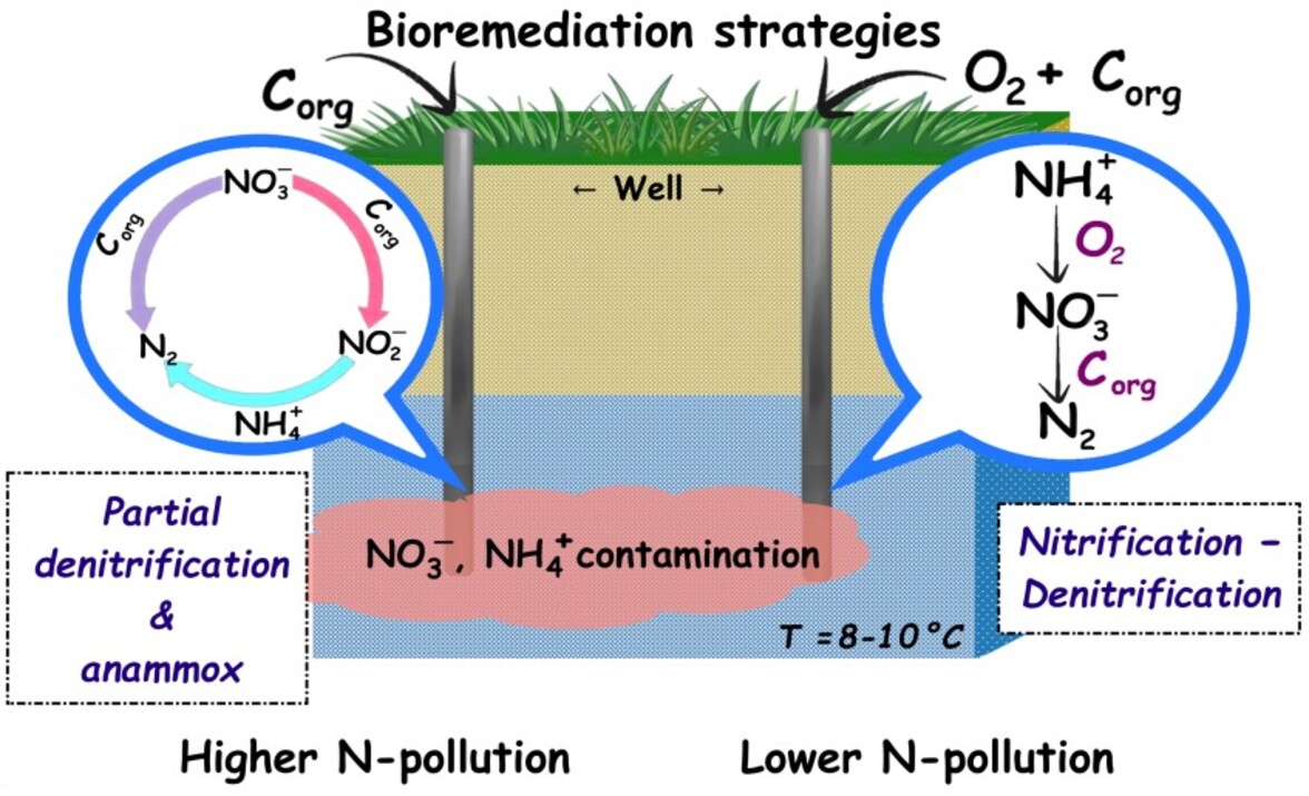 Очистка холодных подземных вод одновременно от нитратов и аммония прошла лабораторные испытания