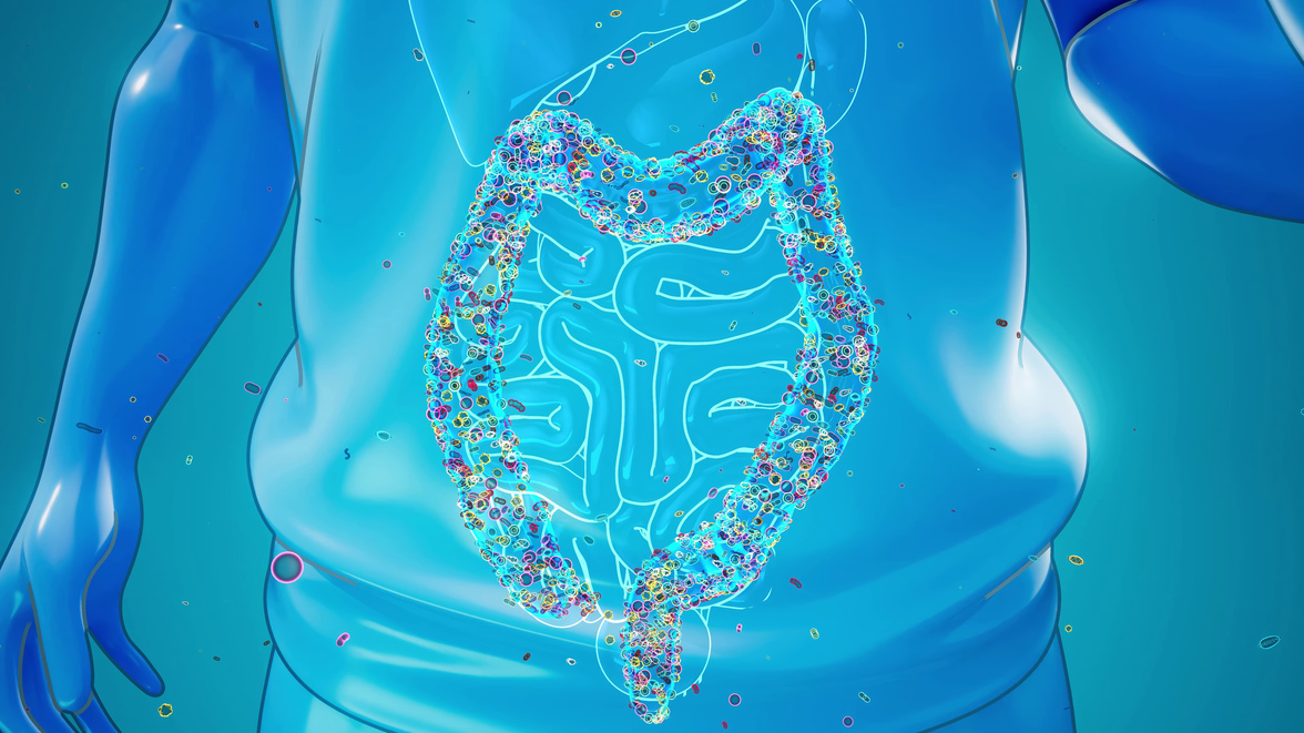 Неизвестная ранее группа кишечных бактерий, по-видимому, является ключом к хорошему здоровью