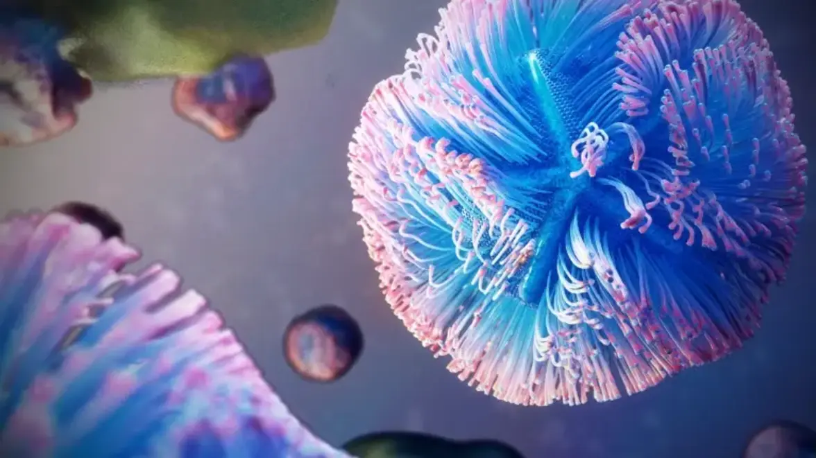 Этот гигантский вирус захватывает механизмы производства белка в клетках и начинает размножаться