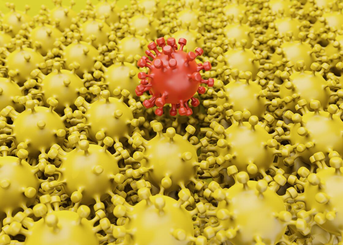 Загадочный штамм гриппа поражает домашний скот по всему миру. Ученые опасаются, что он может стать угрозой и для людей.