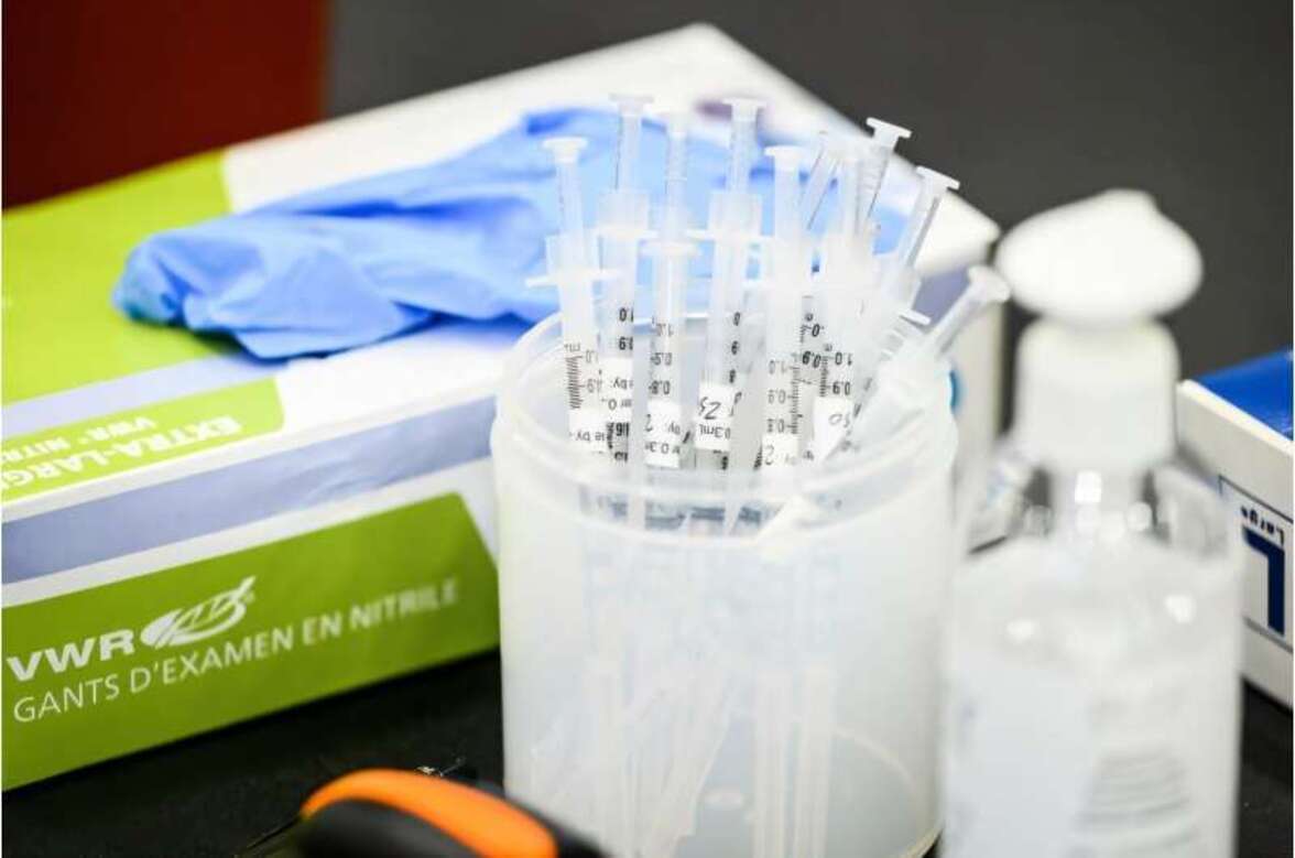 Бактериоподобные вакцины могут помочь укрепить иммунитет против эволюционирующих вирусов