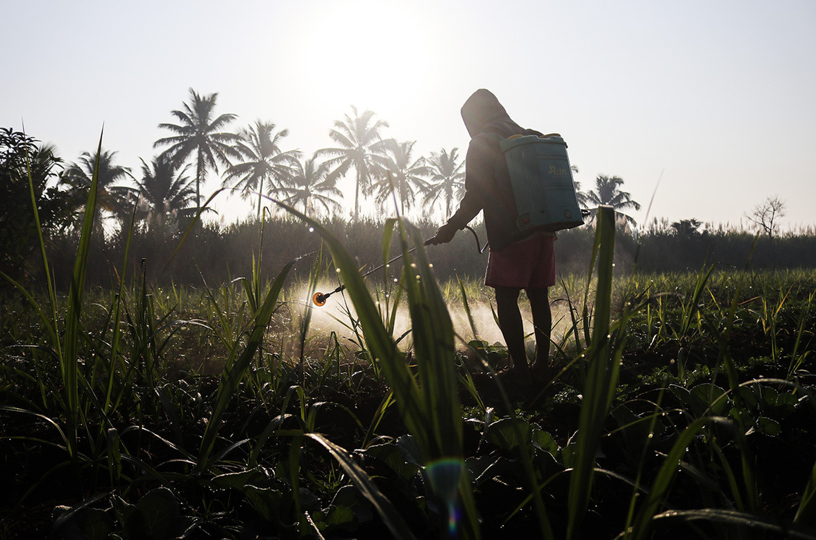 Пестициды могут нанести серьезный ущерб микробиому кишечника