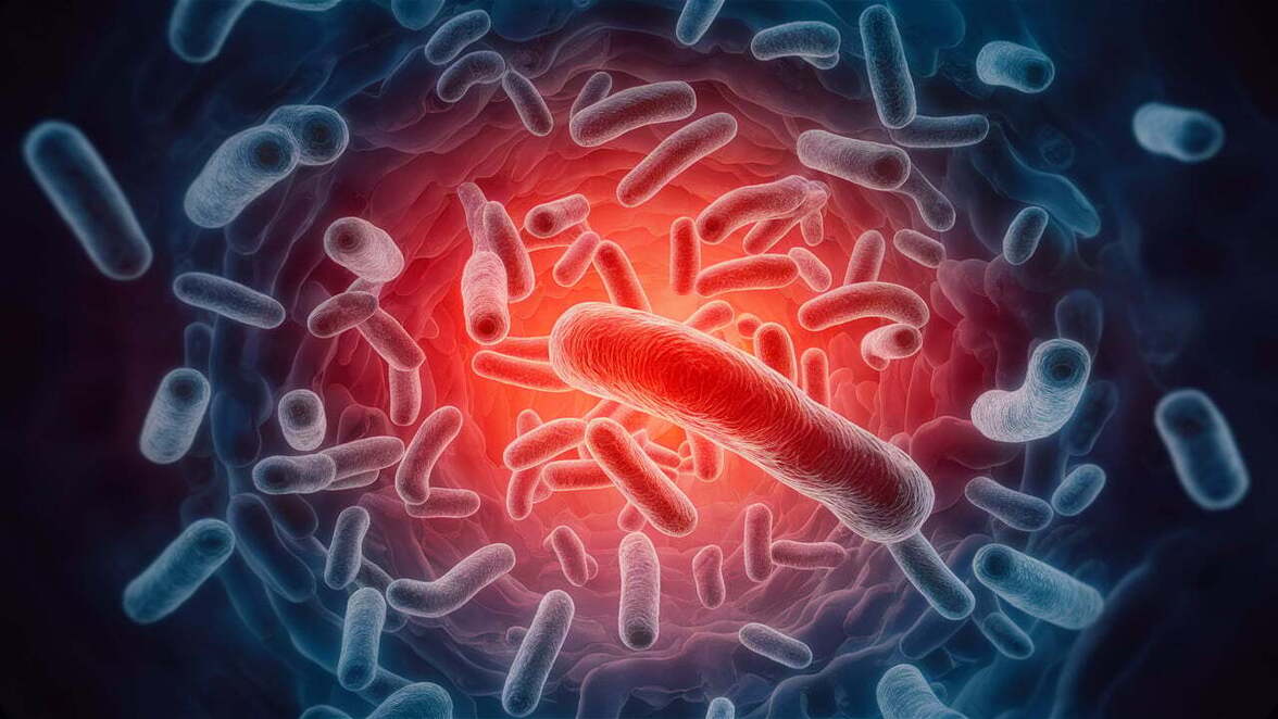Активация хлоридного канала помогает иммунным клеткам уничтожать возбудителей сепсиса