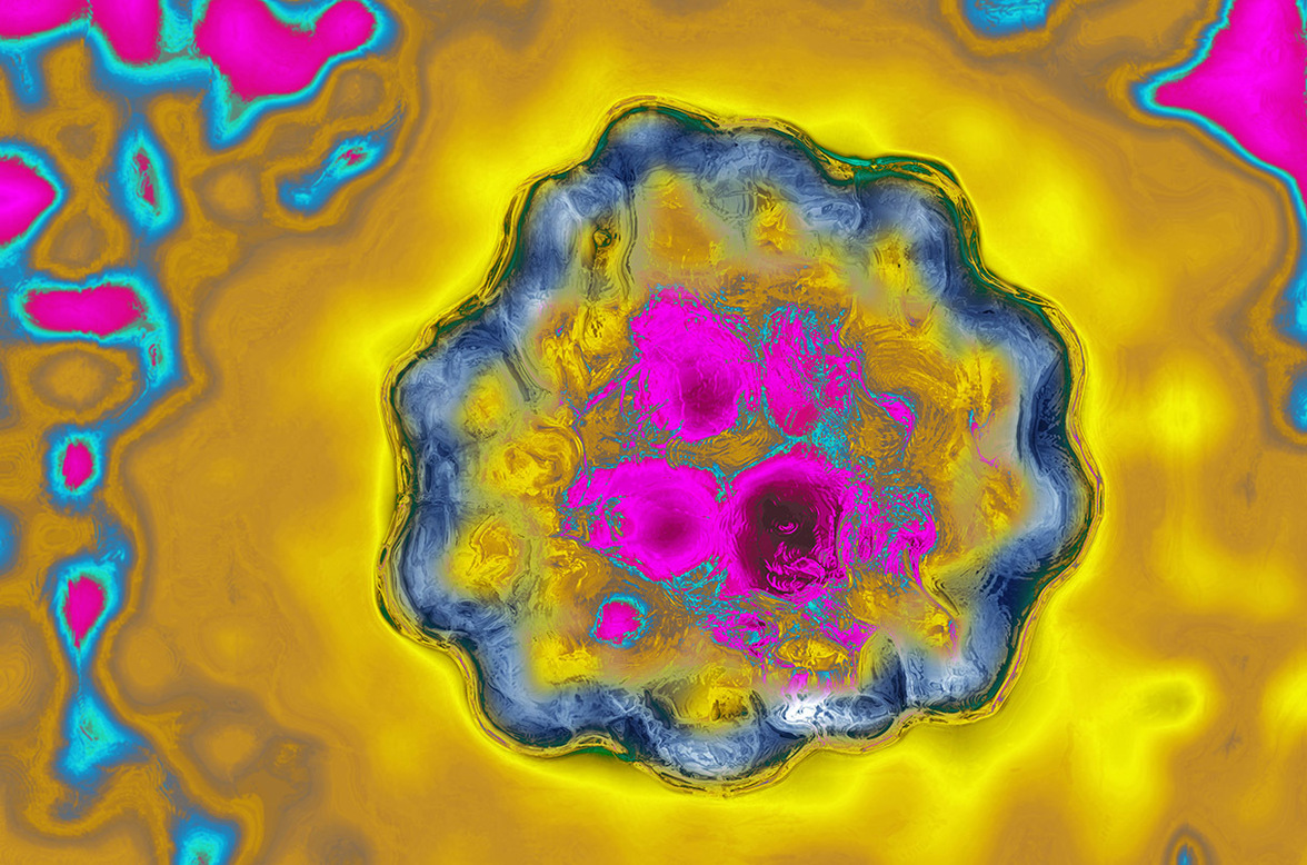 Первый полный геном загружен в квантовый компьютер