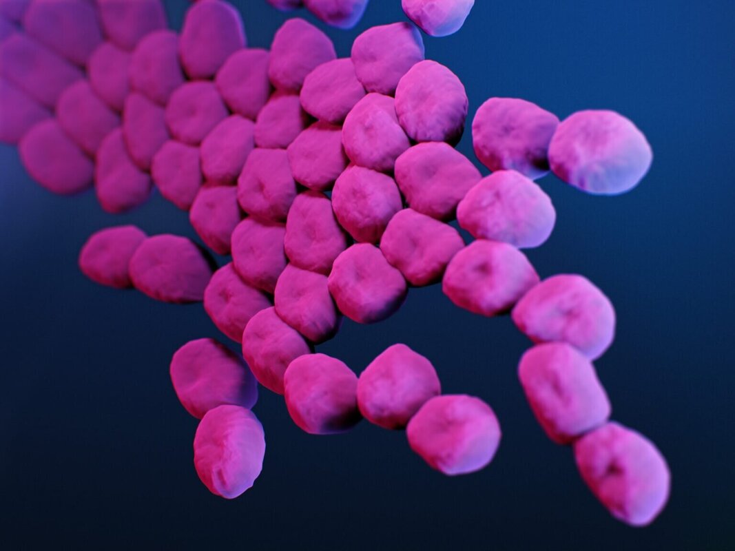 Роль микробиоты кишечника в пневмонии, вызванной Acinetobacter baumannii 