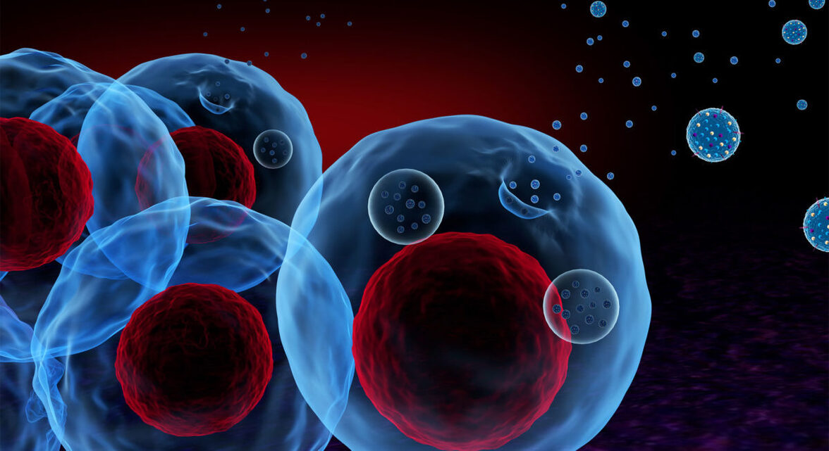 Использование бактериальных внеклеточных везикул в качестве нанооружия для борьбы с бактериальными инфекциями