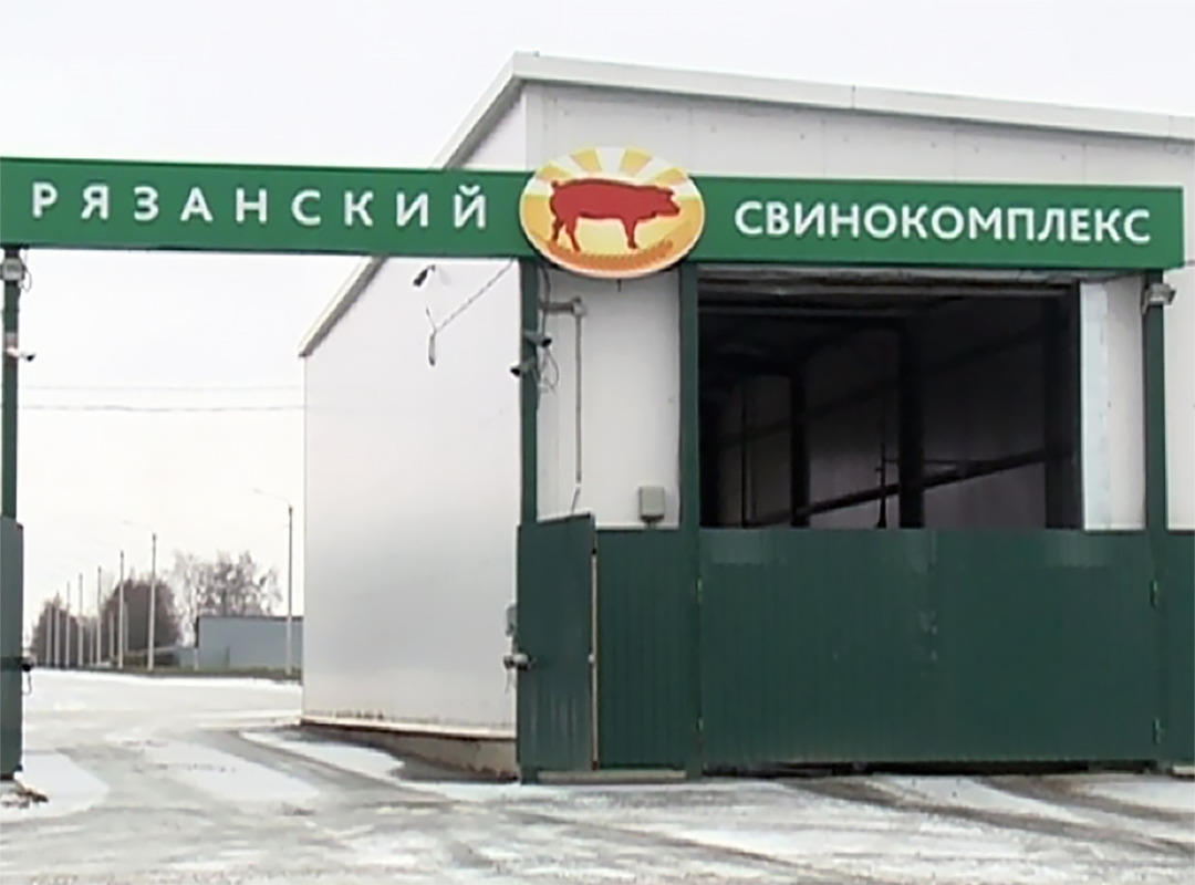 Найден способ увеличения выработки метана из отходов свиноферм